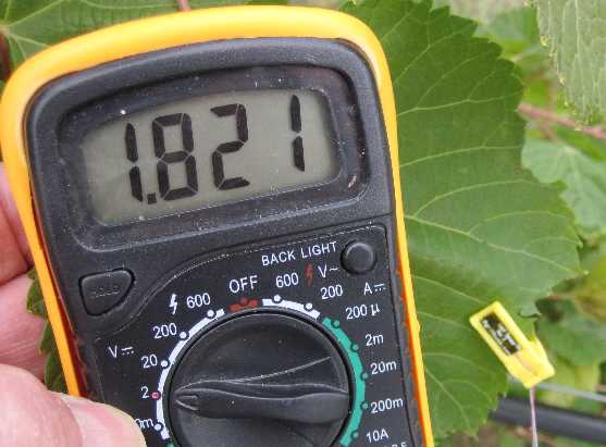 Multimeter and leaf sensor on grape